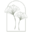 Gioia - Reformer Pilates Studio Logo