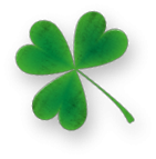 Irish Pub Crazy Horse Logo