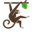 Jungle Gym Logo