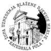 Katedrala Uznesenja Blažene Djevice Marije Logo