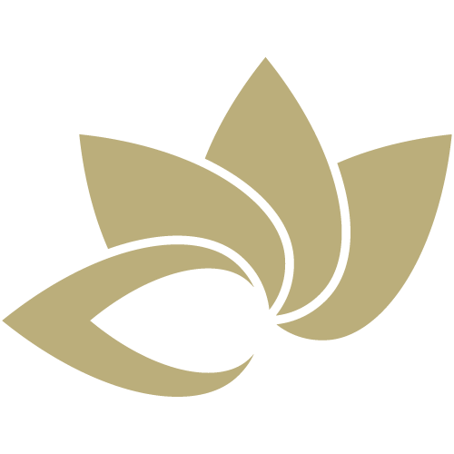 Krizantema usluge d.o.o. Logo