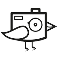 Kuckuck Fotodesign Lisa Seibt logo