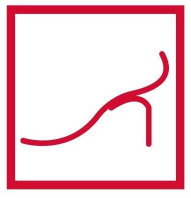 Luka Cipele Logo