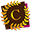 Menjačnica Copaja Logo