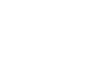 NV Nekretnine Logo