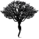 Odvjetnica Mateja Šola Logo