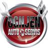 Ognjen Auto Servis Futog Logo