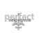Perfect Nekretnine Logo