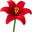 Plišani buketi Logo