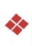 Poliklinika Selecta Logo