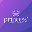 Princess Beauty Salon Niš Logo
