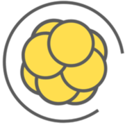 Pronatal Beograd Logo