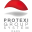 Protexi Group System doo Logo