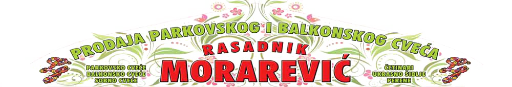 Rasadnik Morarevic Logo