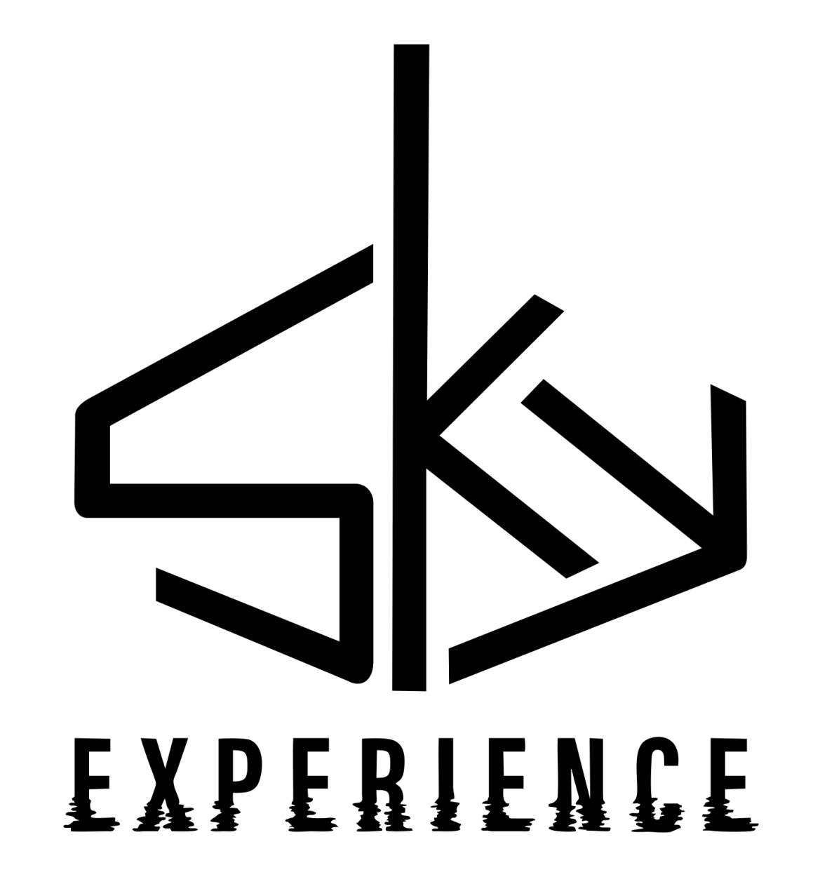 Sky Experience Logo