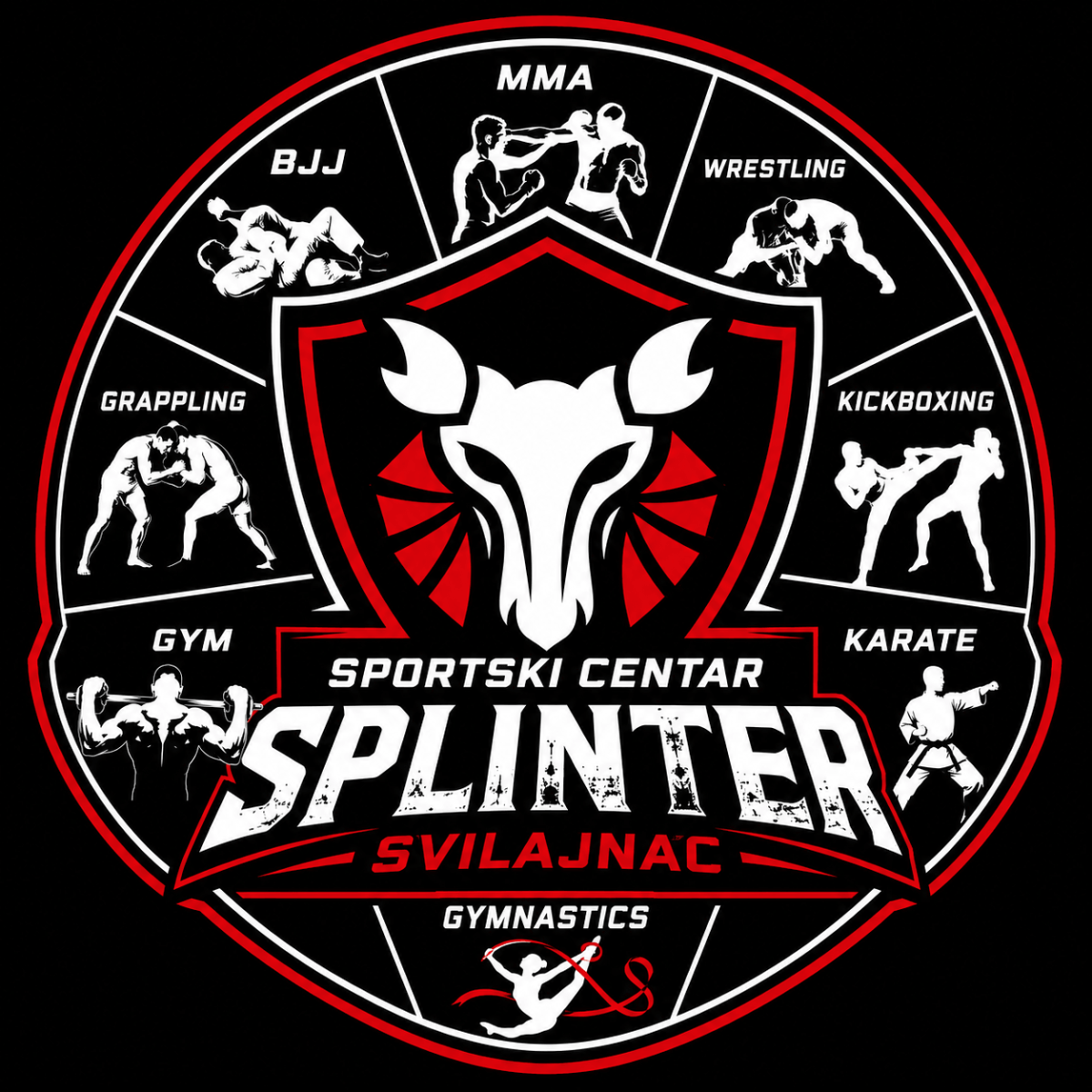 Sportski Centar Splinter Logo