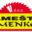 Stamenković Logo