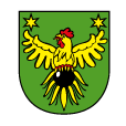 Stari grad Đurđevac Logo