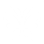 Studio Butterfly Logo
