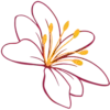 Studio Krin Logo