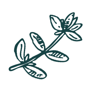 Thyme - StreetFood & Breakfast logo
