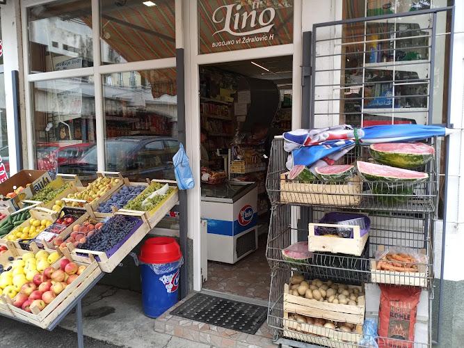 Tr "LINO" Bugojno Logo