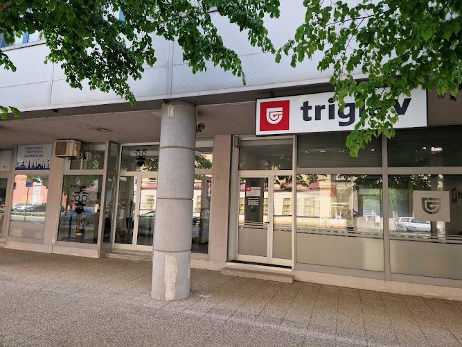 TRIGLAV Osiguranje - Mostar Logo