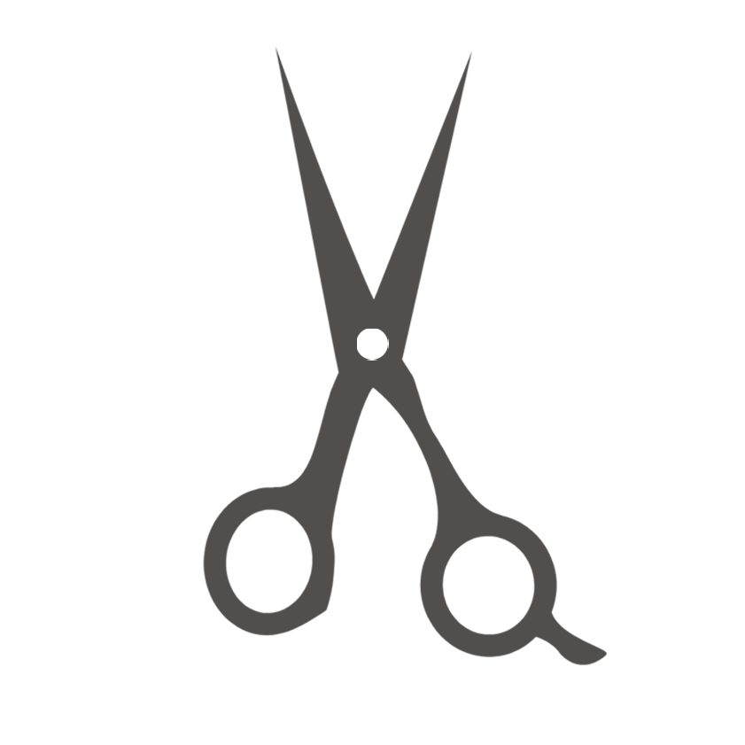 Tron-SC logo