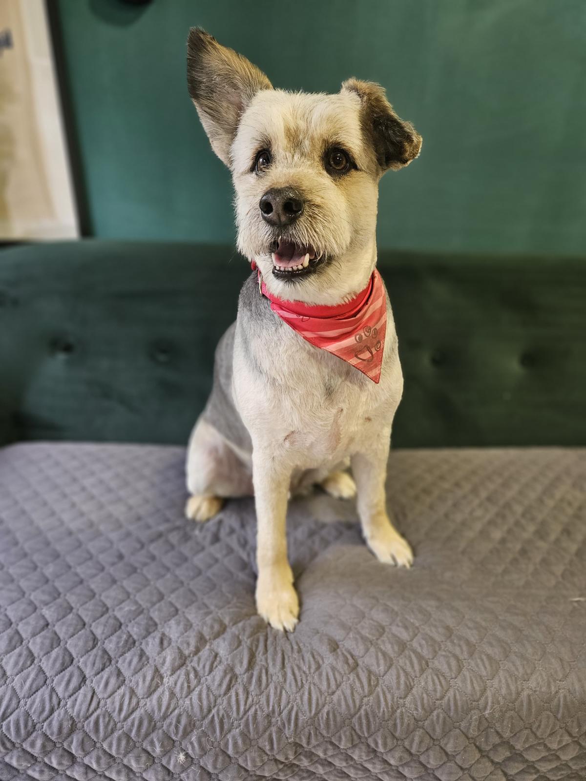 Fotografija uz recenziju