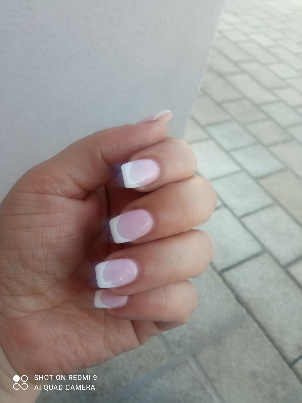 Prilog 1 uz recenziju